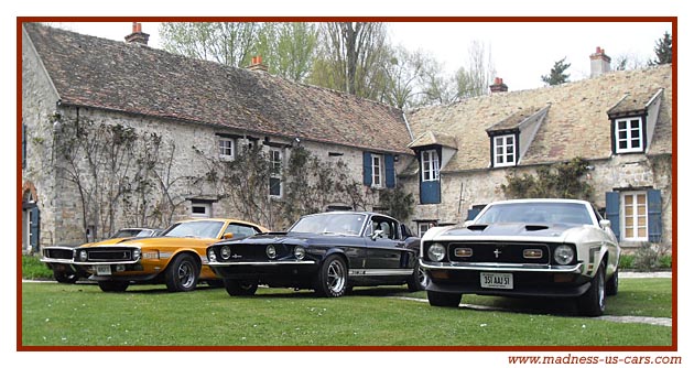 Equus Mustang, Shelby, Boss, Maharajah Road de Paris  Turin