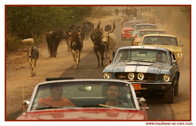 Equus Mustang, Shelby, Maharajah Road