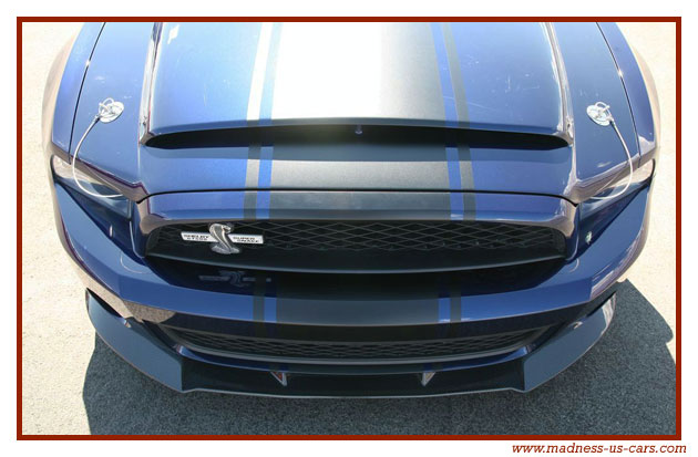 Shelby GT500 Super Snake 2010