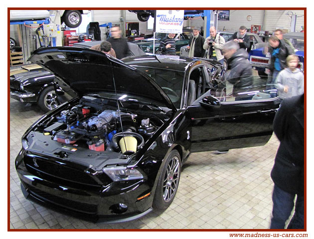 V8 Drink Madness US - Shelby GT500 2011