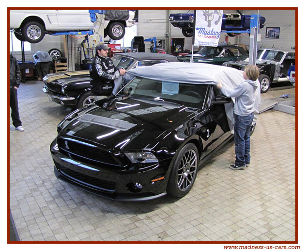 V8 Drink Madness US - Shelby GT500 2011