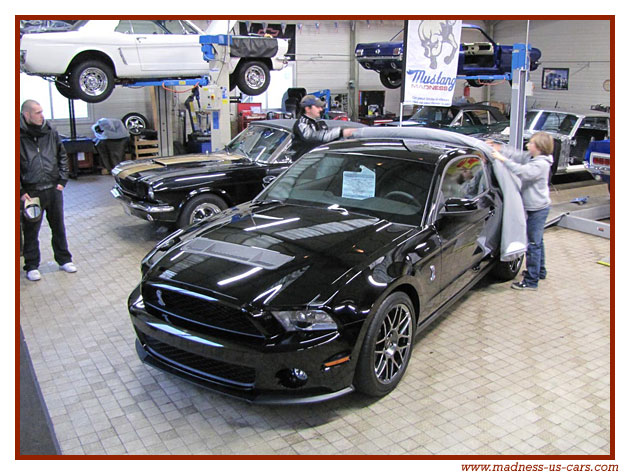 V8 Drink Madness US - Shelby GT500 2011