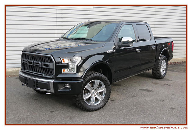 Ford F150 Platinum SuperCrew FX4 FlexFuel 2015