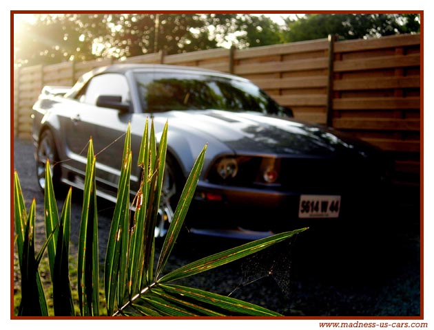 Saleen S281 Supercharged Cabriolet 2006